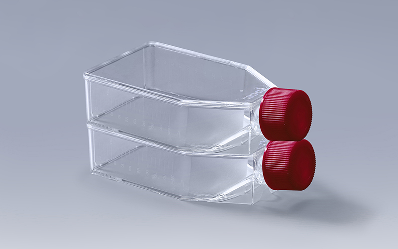 Cell Culture Flask