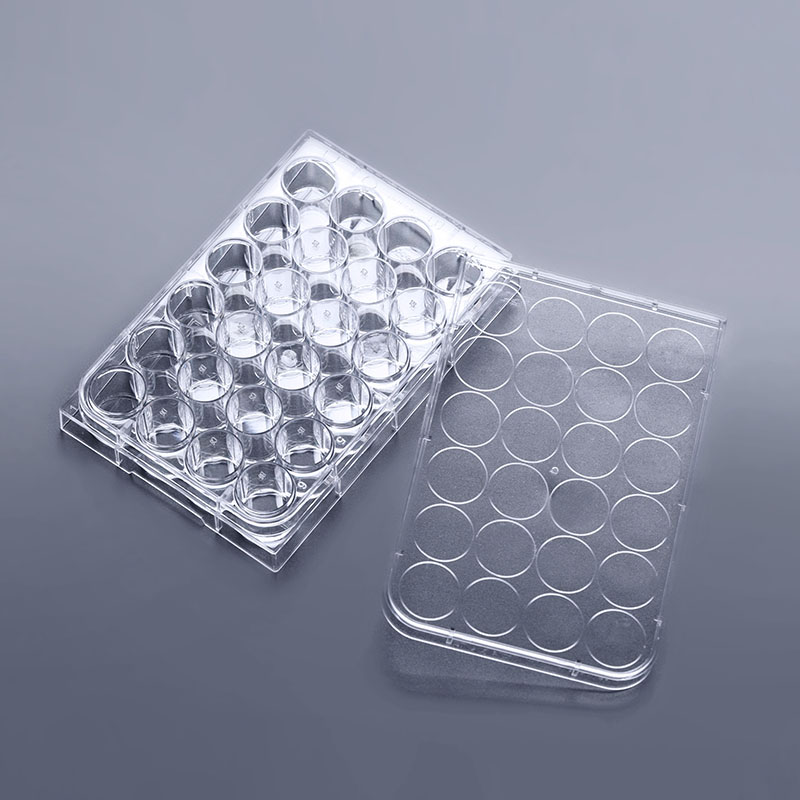 Cell Culture Plates