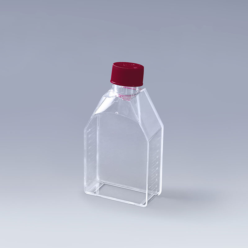 Cell Culture Flask