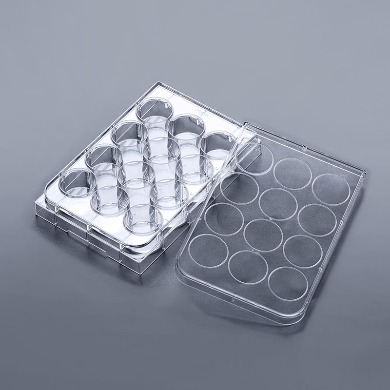 12-Well Cell Culture Plates