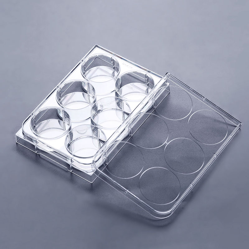 Two Key Features of Cell Culture Plates