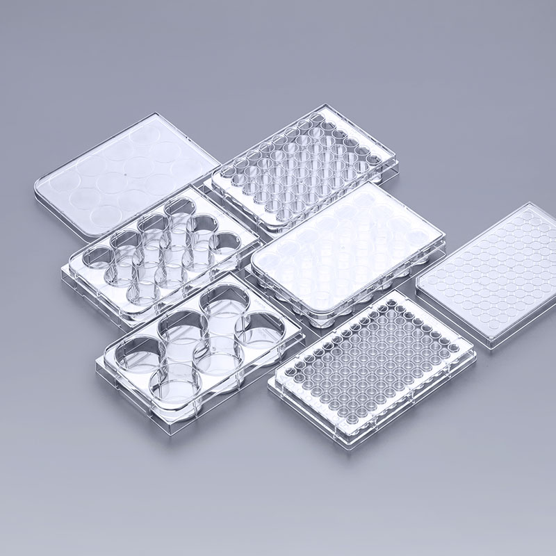 Importance Of Consistency Between Wells In Cell Culture Plates